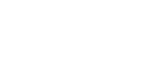 Protoflow Logo